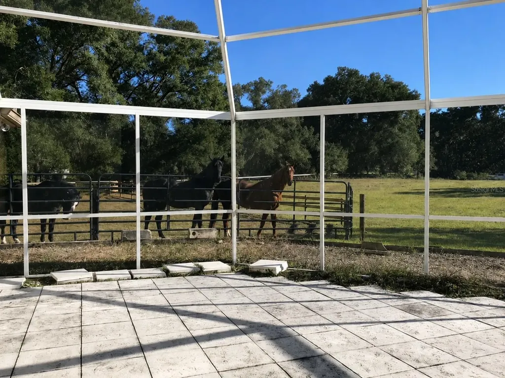 6 Wintergreen Way Ocala FL 34482