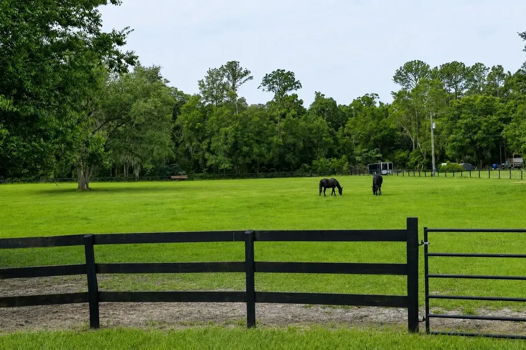 6 Wintergreen Way Ocala FL 34482
