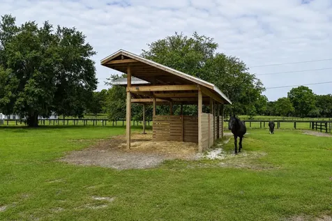 6 Wintergreen Way Ocala FL 34482