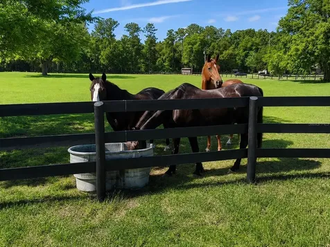 6 Wintergreen Way Ocala FL 34482