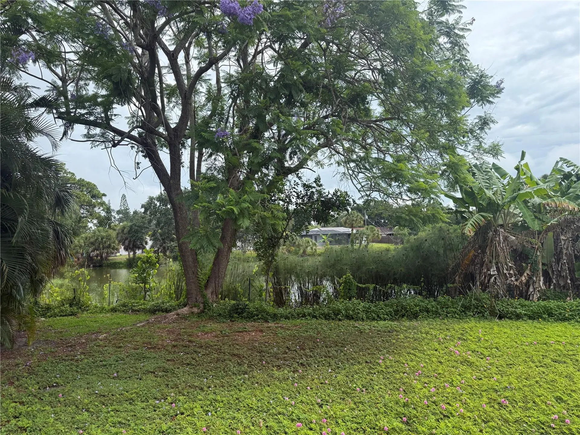3211 Mayflower Street Sarasota FL 34231