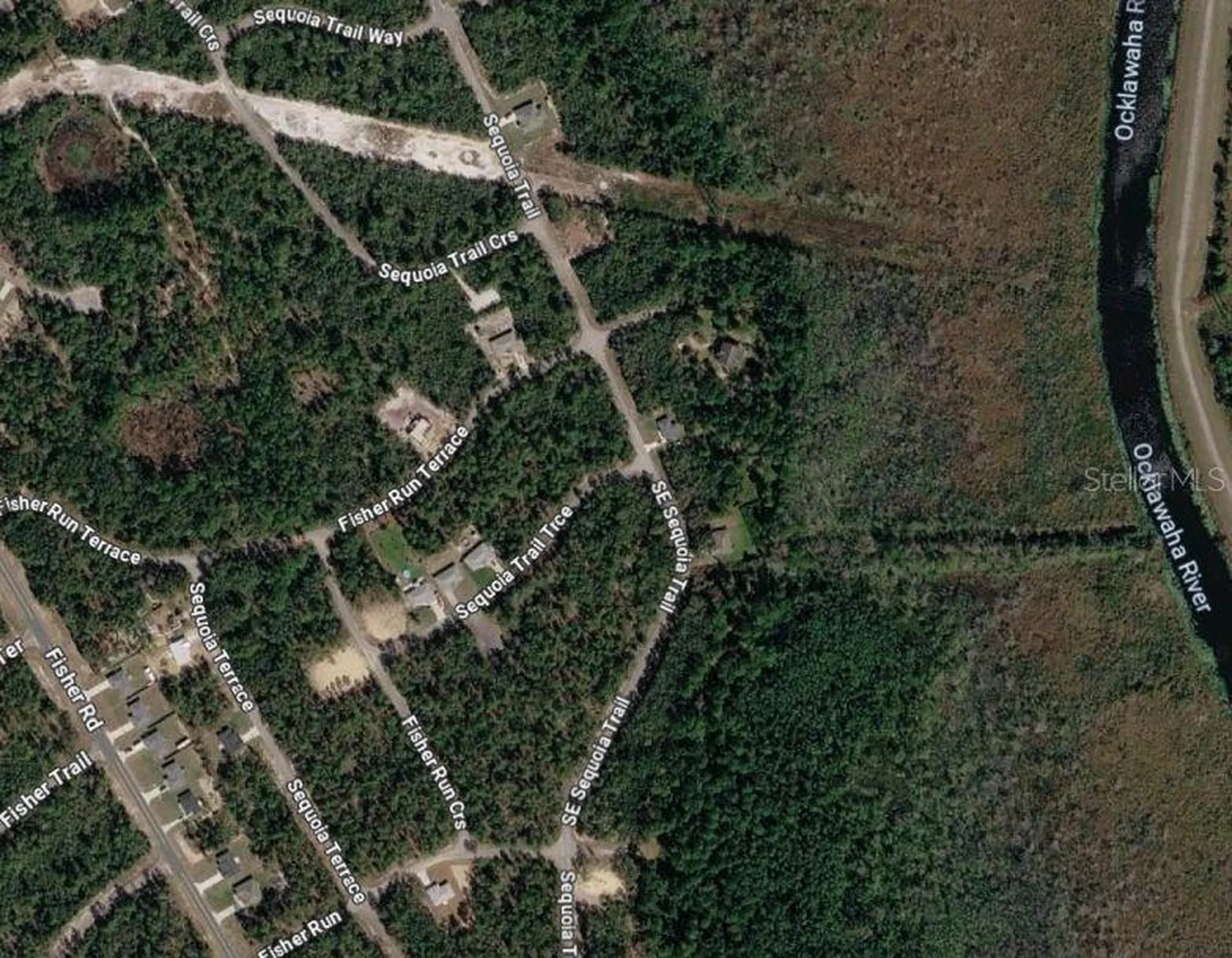 Tbd SE Sequoia Loop Ocklawaha FL 32179