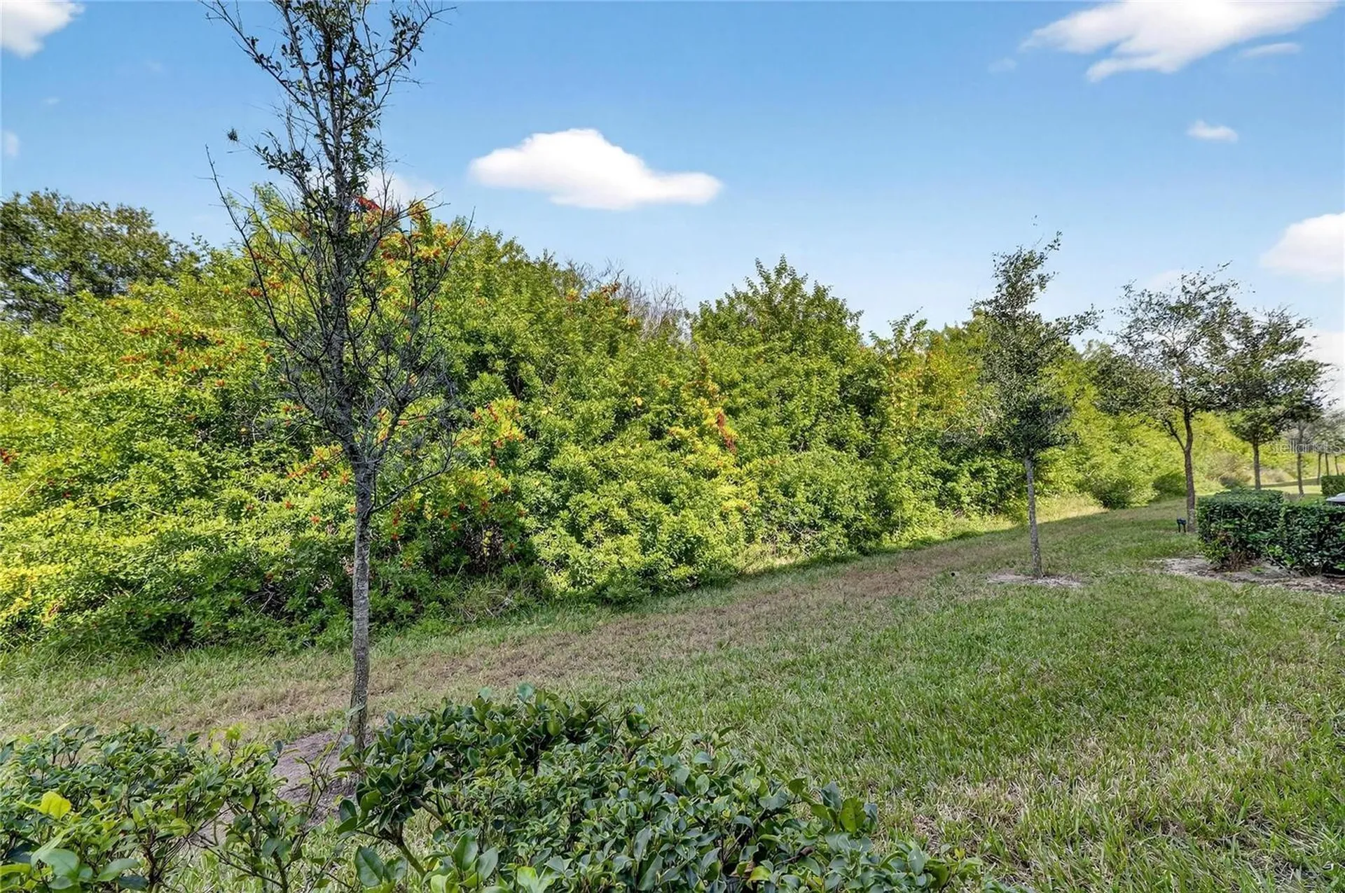 9622 Pembrooke Pines Drive Sun City Center FL 33573