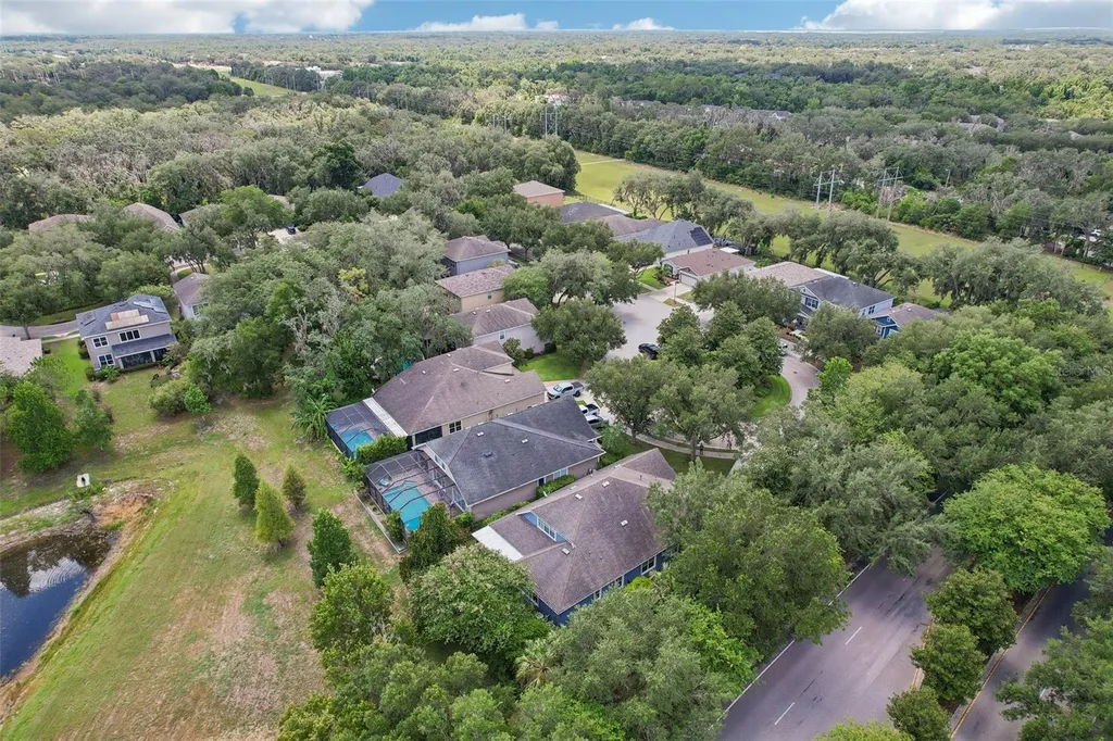 15863 Starling Water Drive Lithia FL 33547