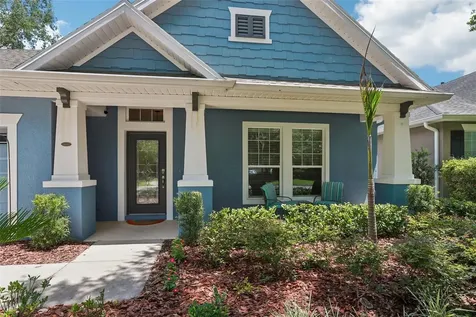 15863 Starling Water Drive Lithia FL 33547