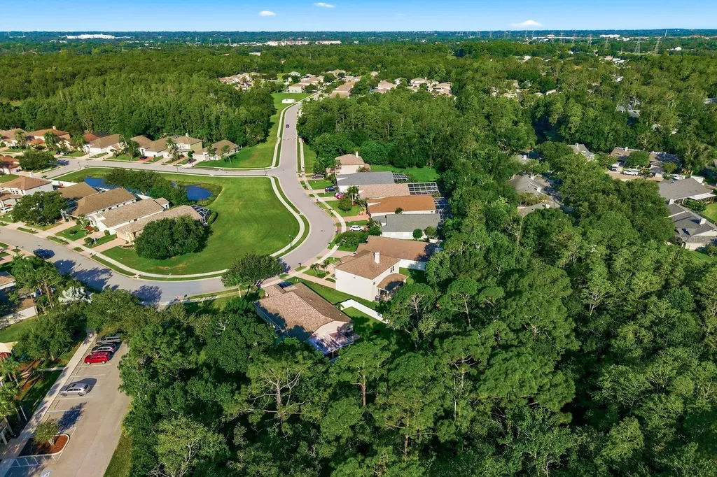 364 Ventura Drive Oldsmar FL 34677