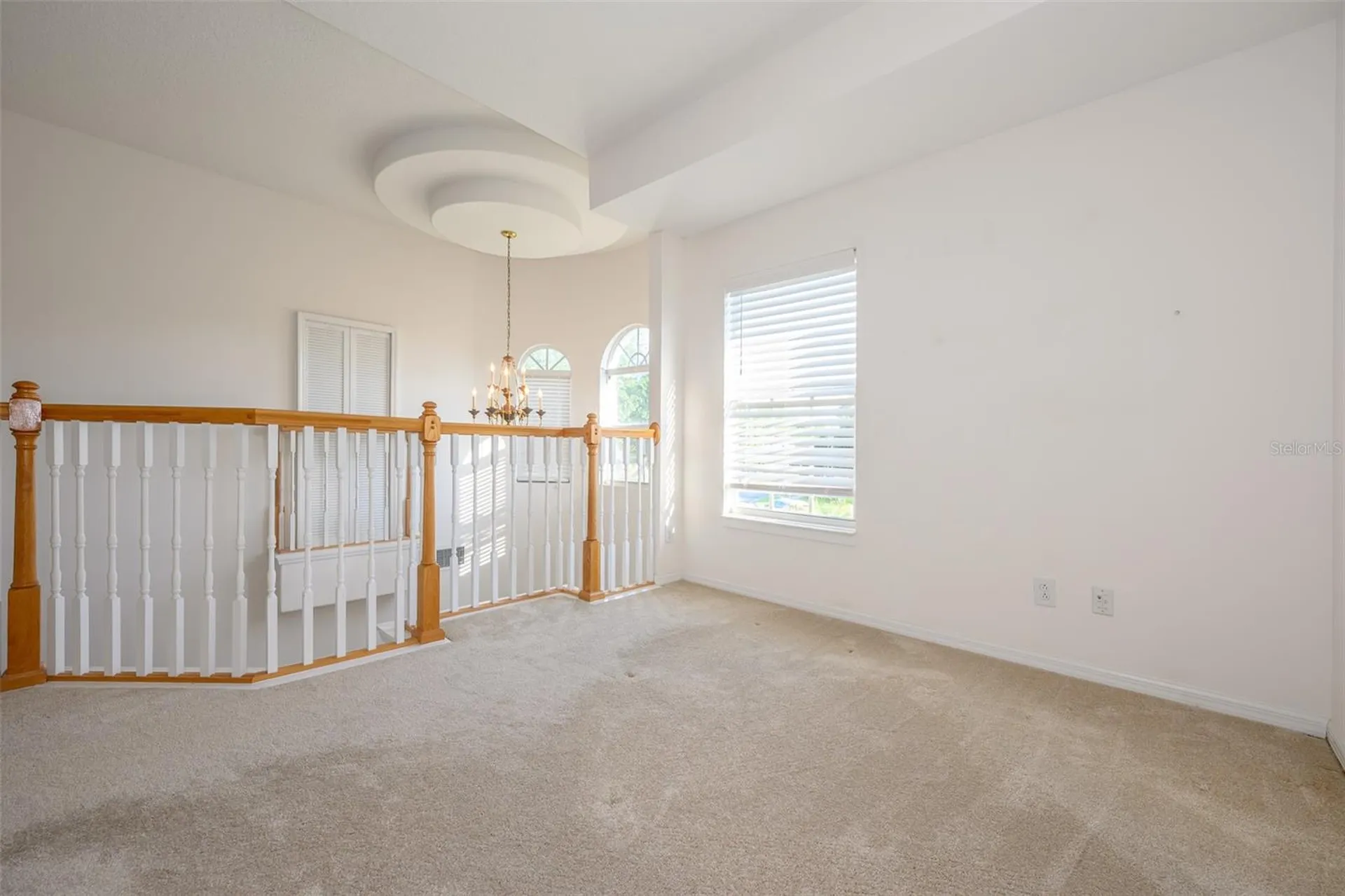 364 Ventura Drive Oldsmar FL 34677