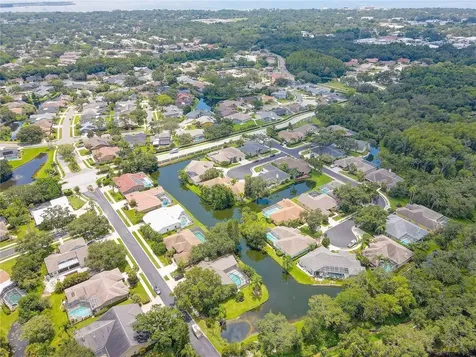 2208 Hampstead Court Safety Harbor FL 34695