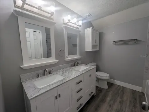 6202 Gannetdale Drive Lithia FL 33547