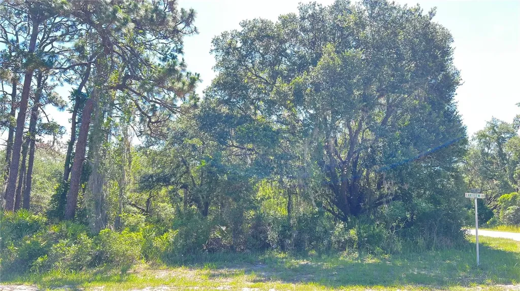 922 Poinciana Drive Indian Lake Estates FL 33855