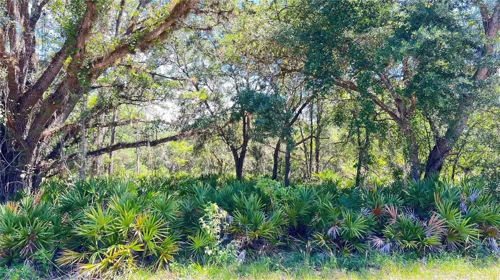 922 Poinciana Drive Indian Lake Estates FL 33855