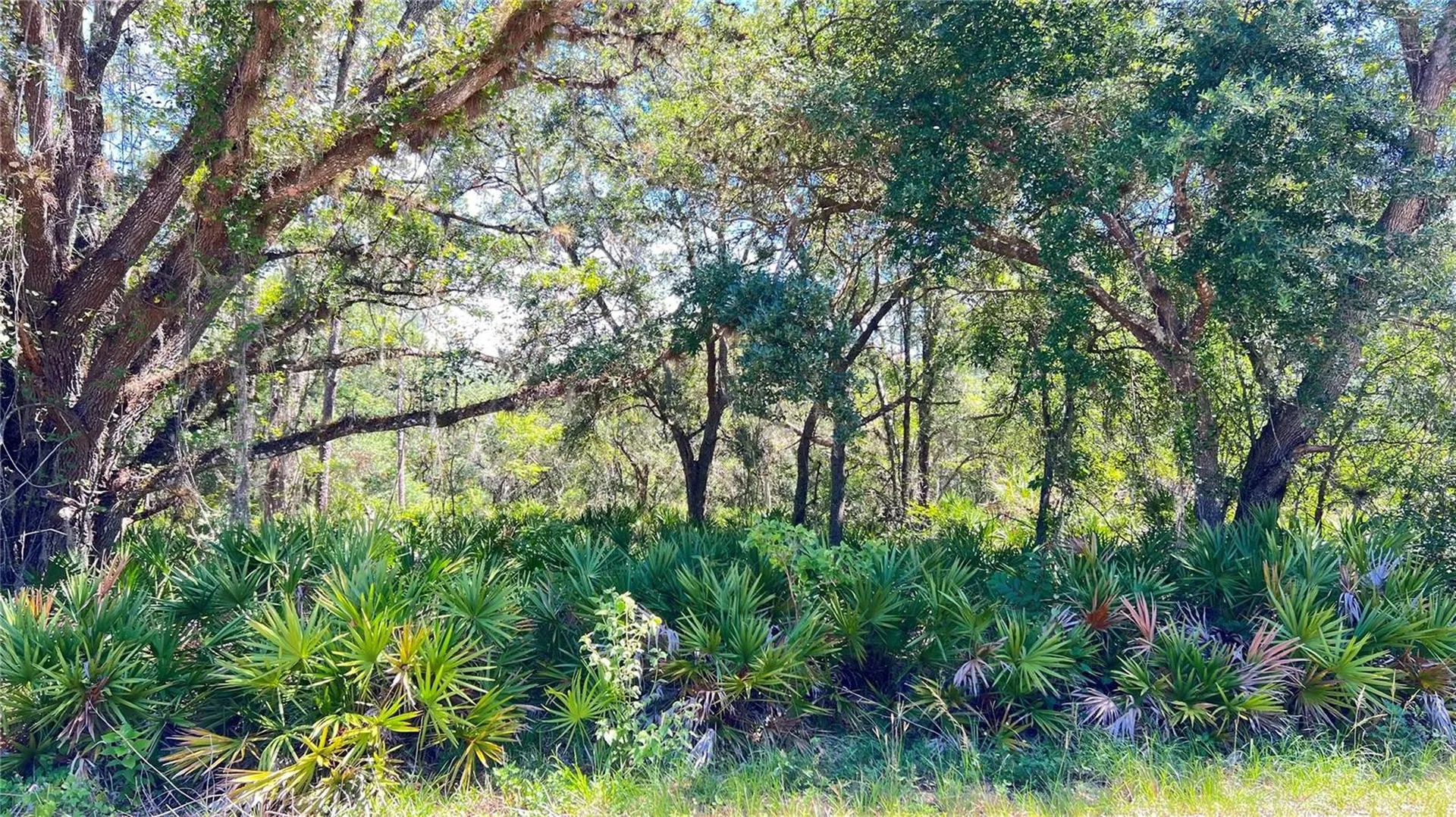 922 Poinciana Drive Indian Lake Estates FL 33855