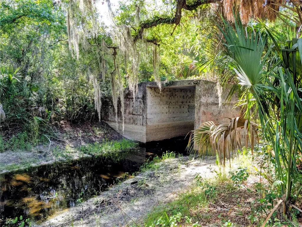 1495 N Toro Drive Inverness FL 34453