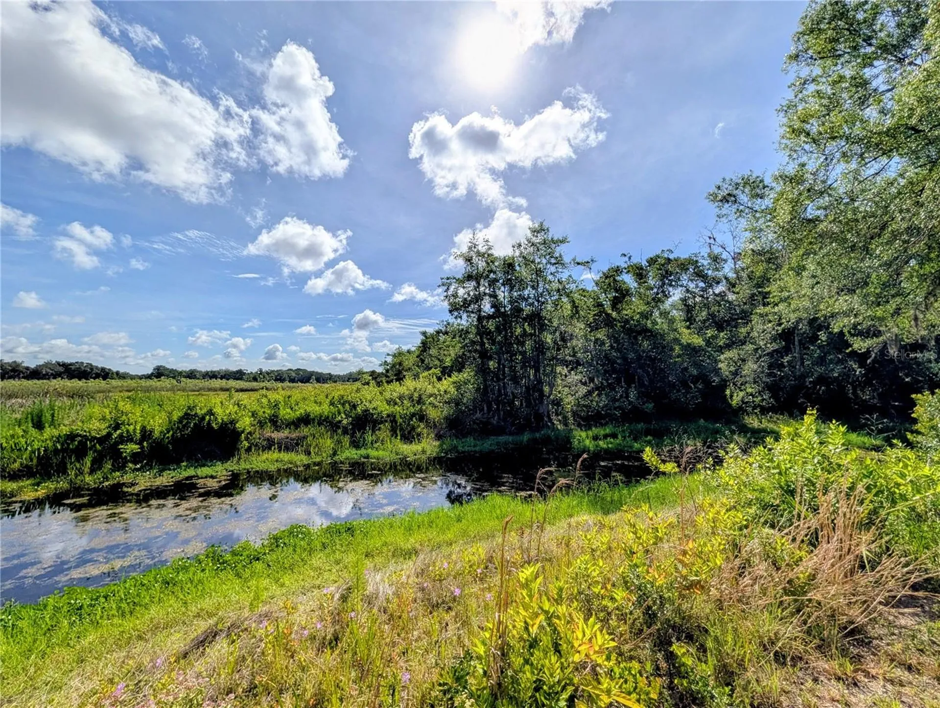 1495 N Toro Drive Inverness FL 34453