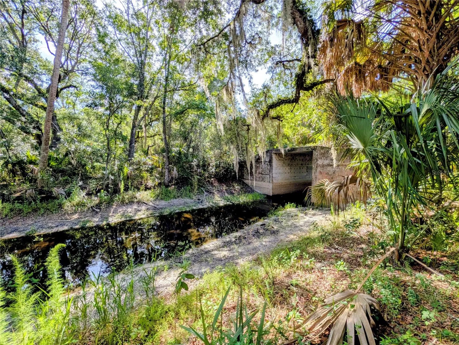 1495 N Toro Drive Inverness FL 34453