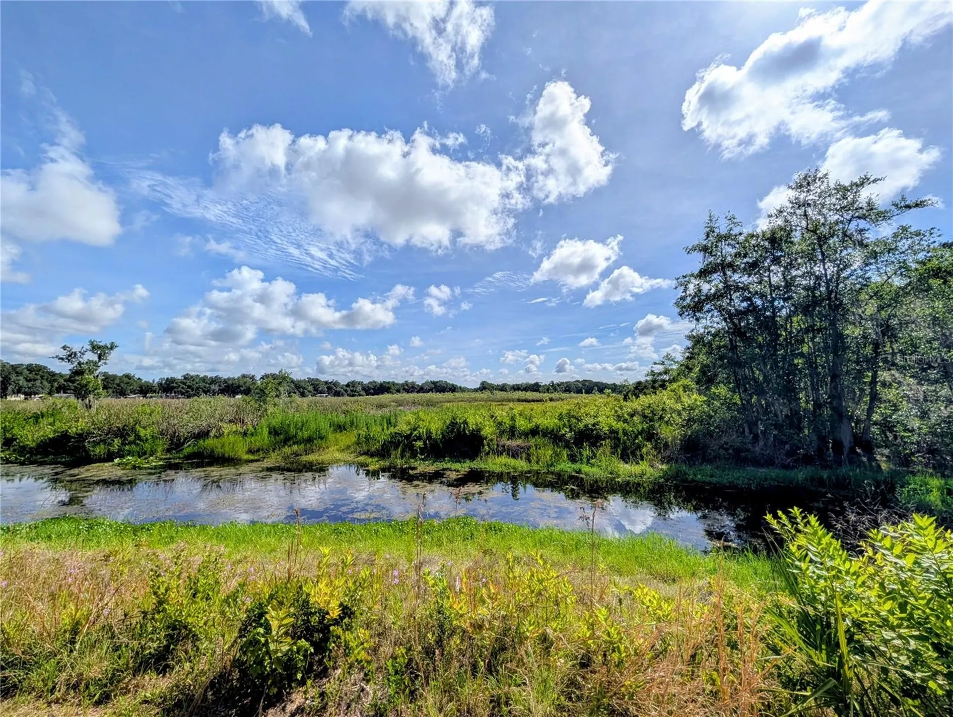 1495 N Toro Drive Inverness FL 34453