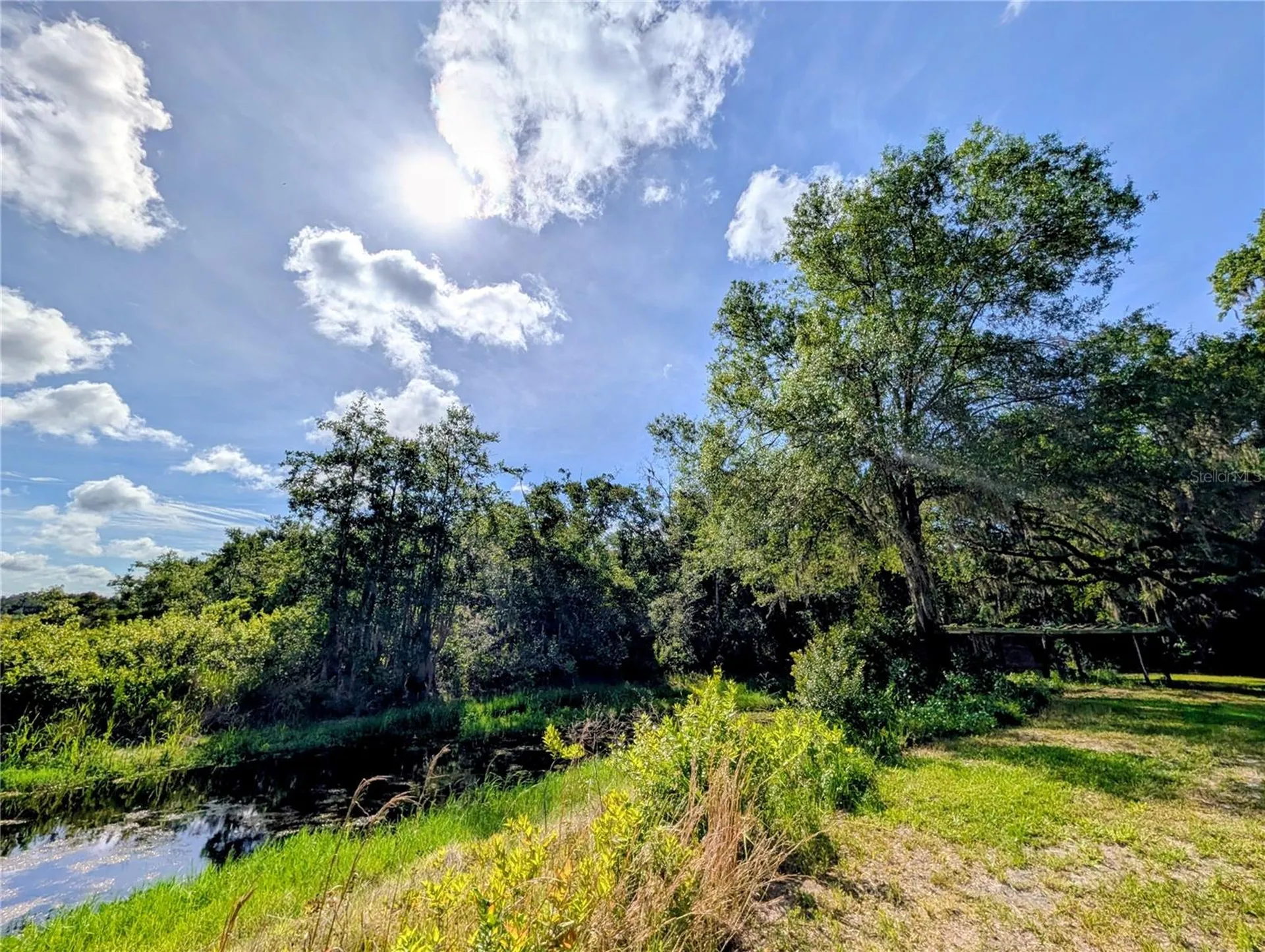 1495 N Toro Drive Inverness FL 34453