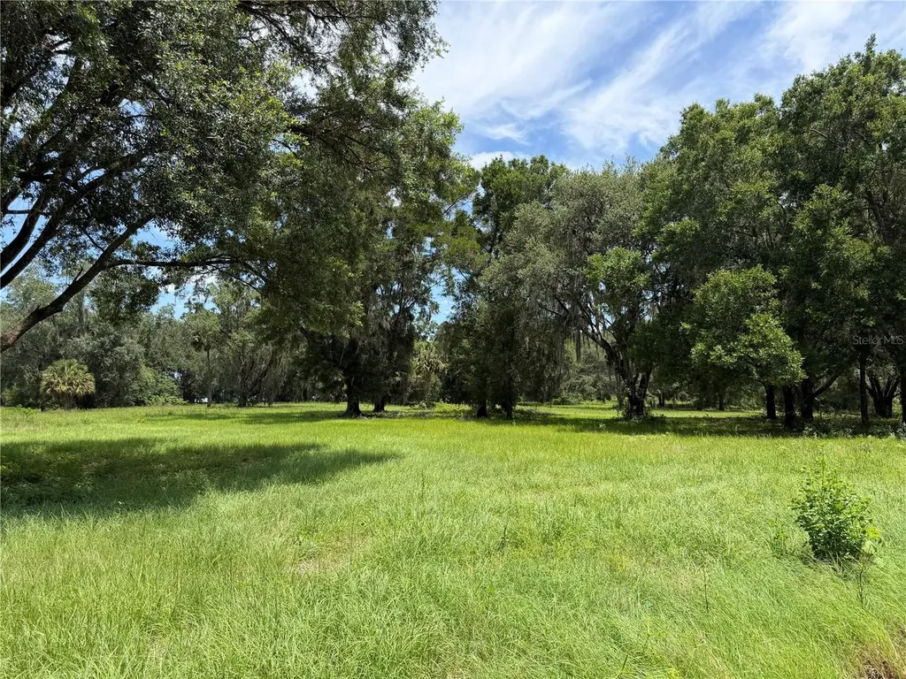 12870 NW 28th Avenue Reddick FL 32686