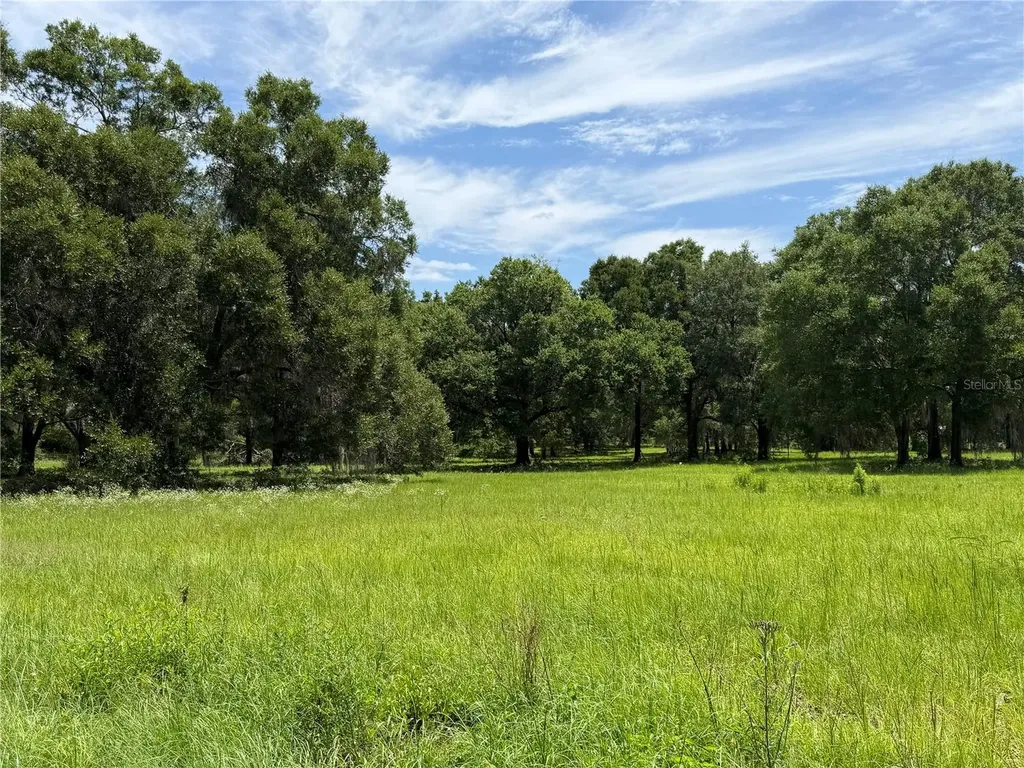 12870 NW 28th Avenue Reddick FL 32686