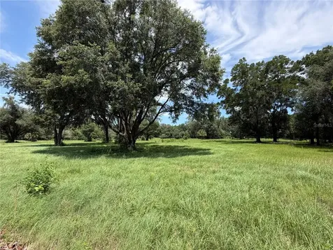 12870 NW 28th Avenue Reddick FL 32686