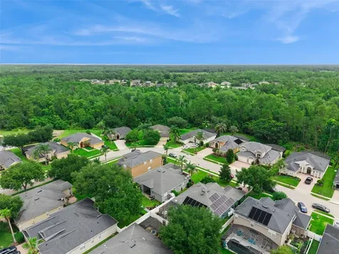 3067 Juneberry Terrace Oviedo FL 32766