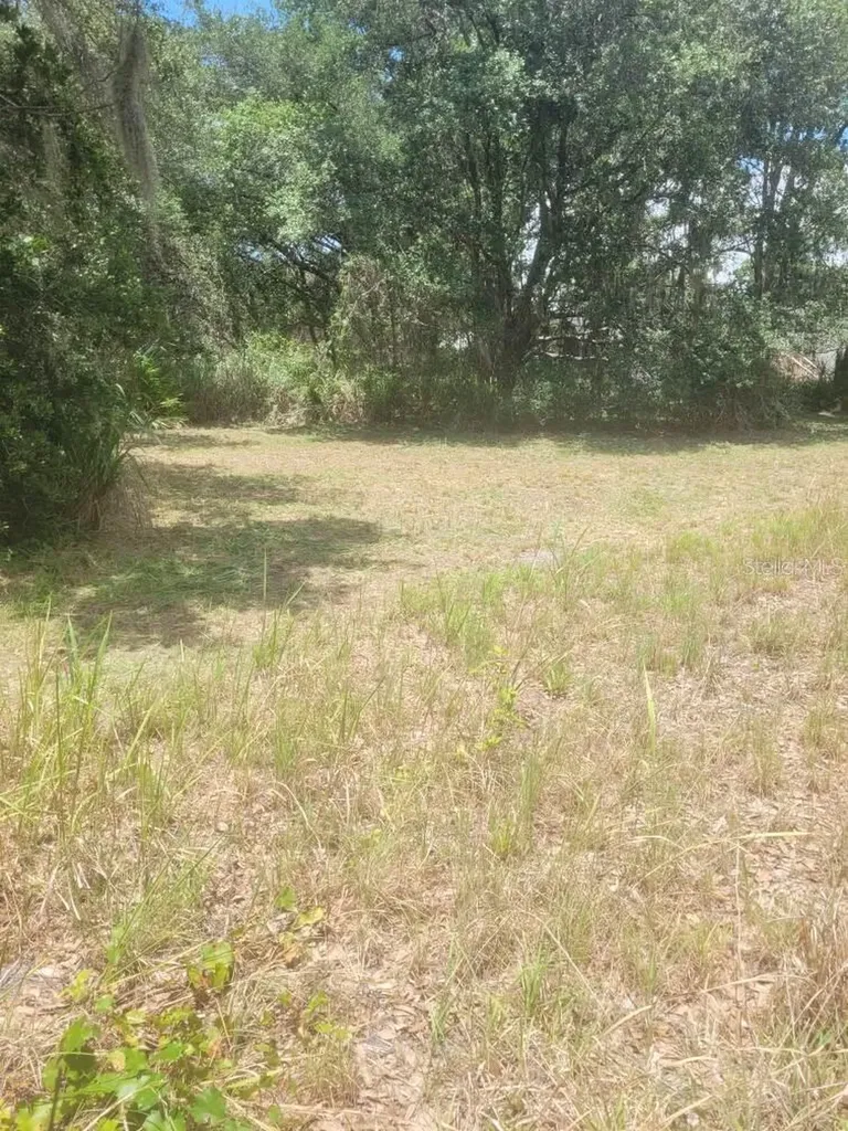 6631 Merle Street Mulberry FL 33860
