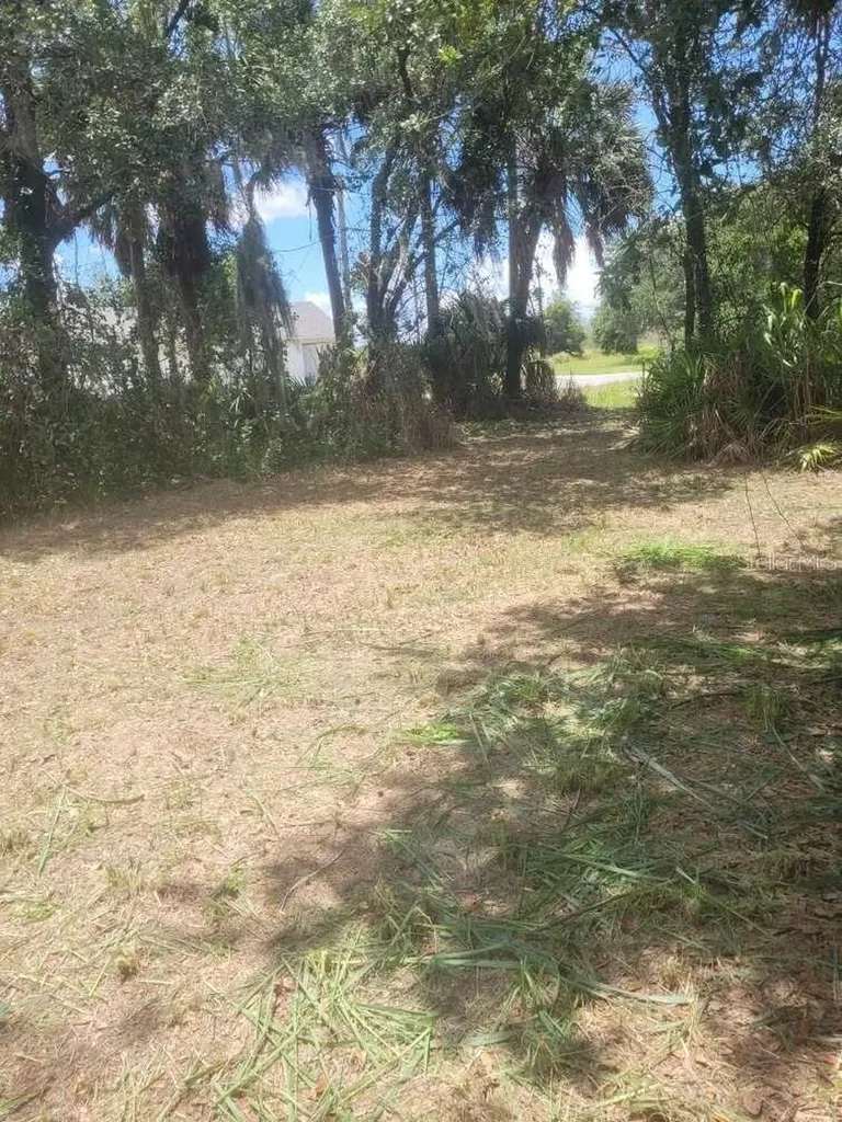6631 Merle Street Mulberry FL 33860