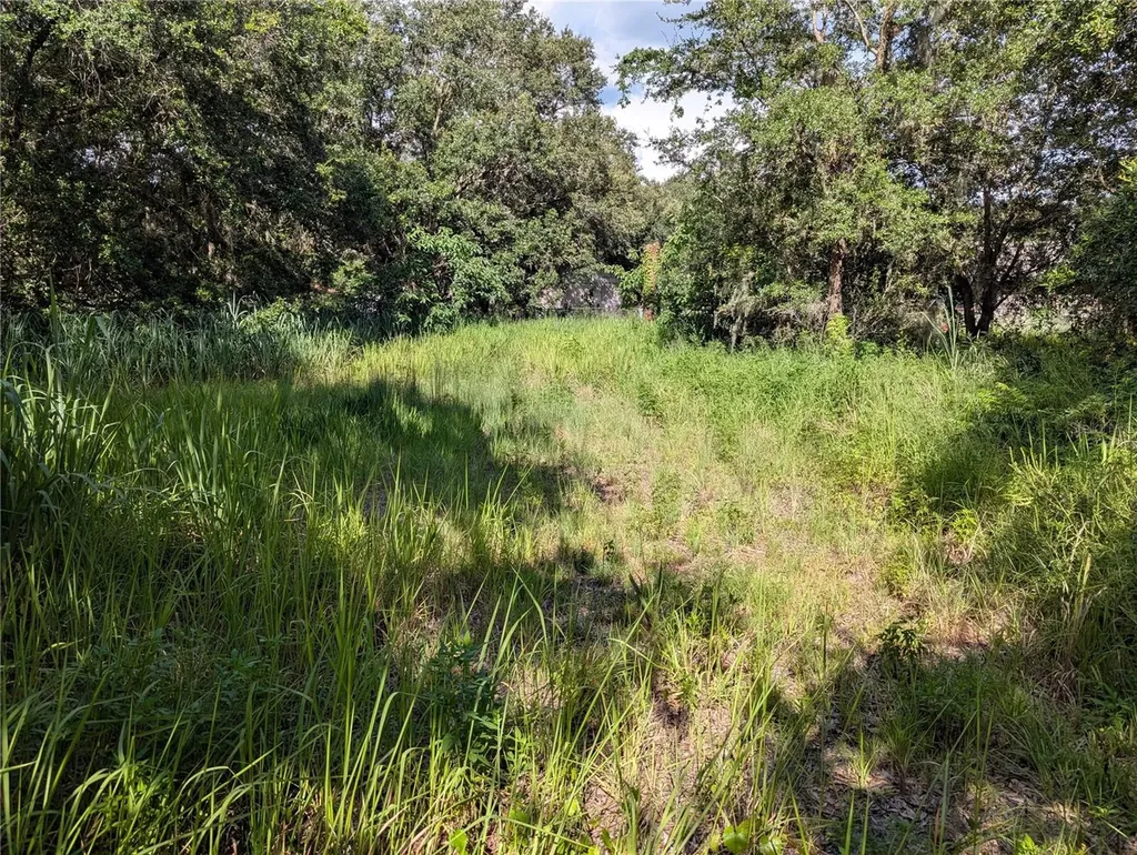 6631 Merle Street Mulberry FL 33860