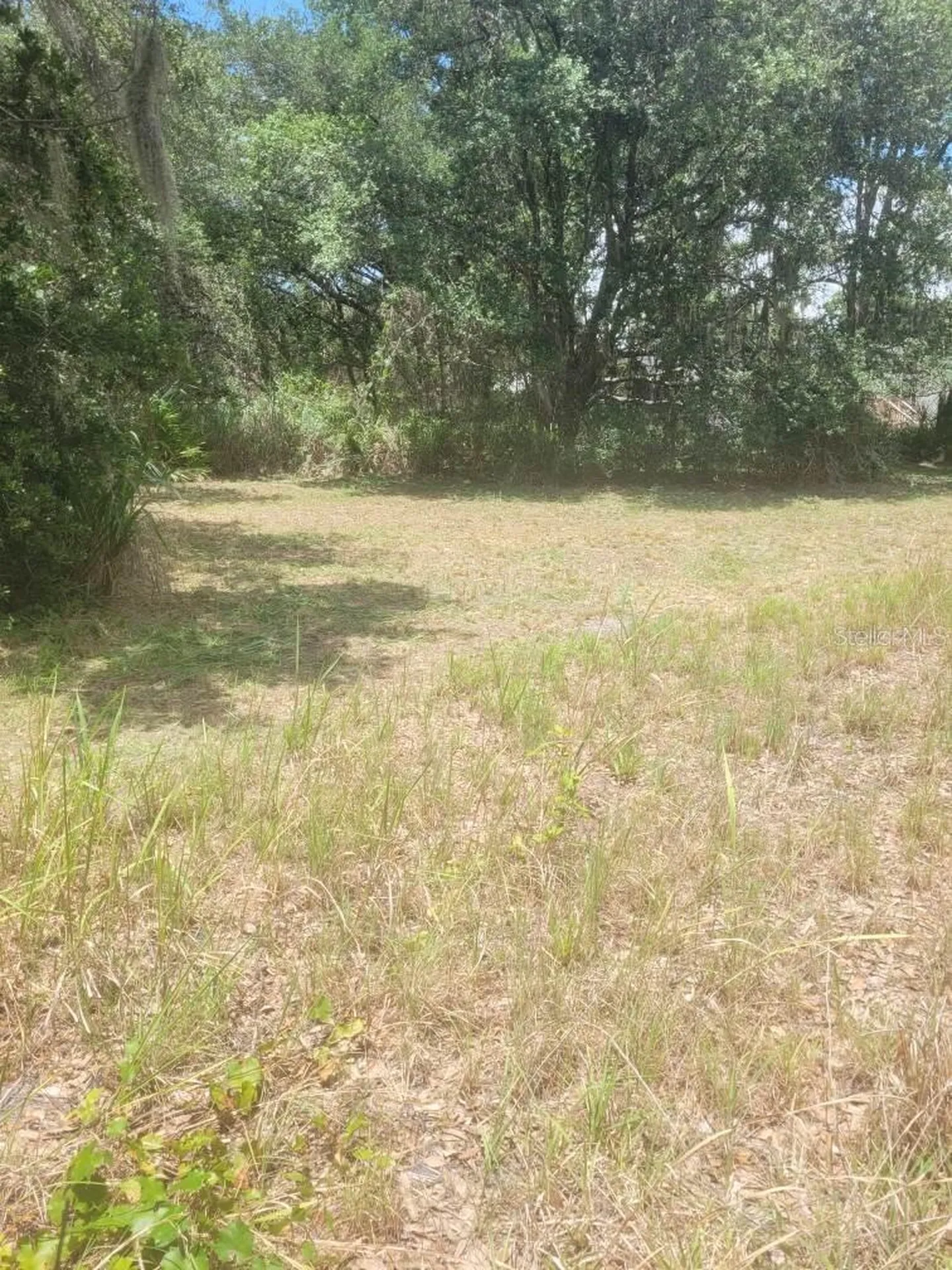 6631 Merle Street Mulberry FL 33860