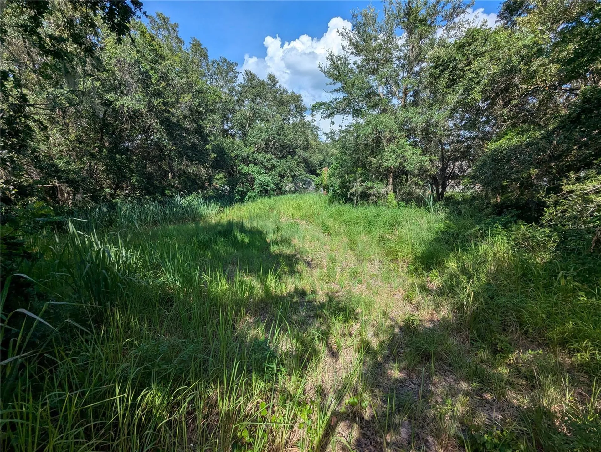 6631 Merle Street Mulberry FL 33860