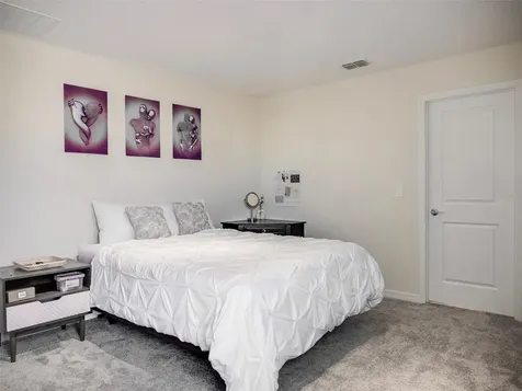 2949 Muller Oak Loop Ocoee FL 34761