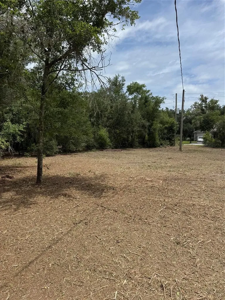 3101 Bruton Road Plant City FL 33565