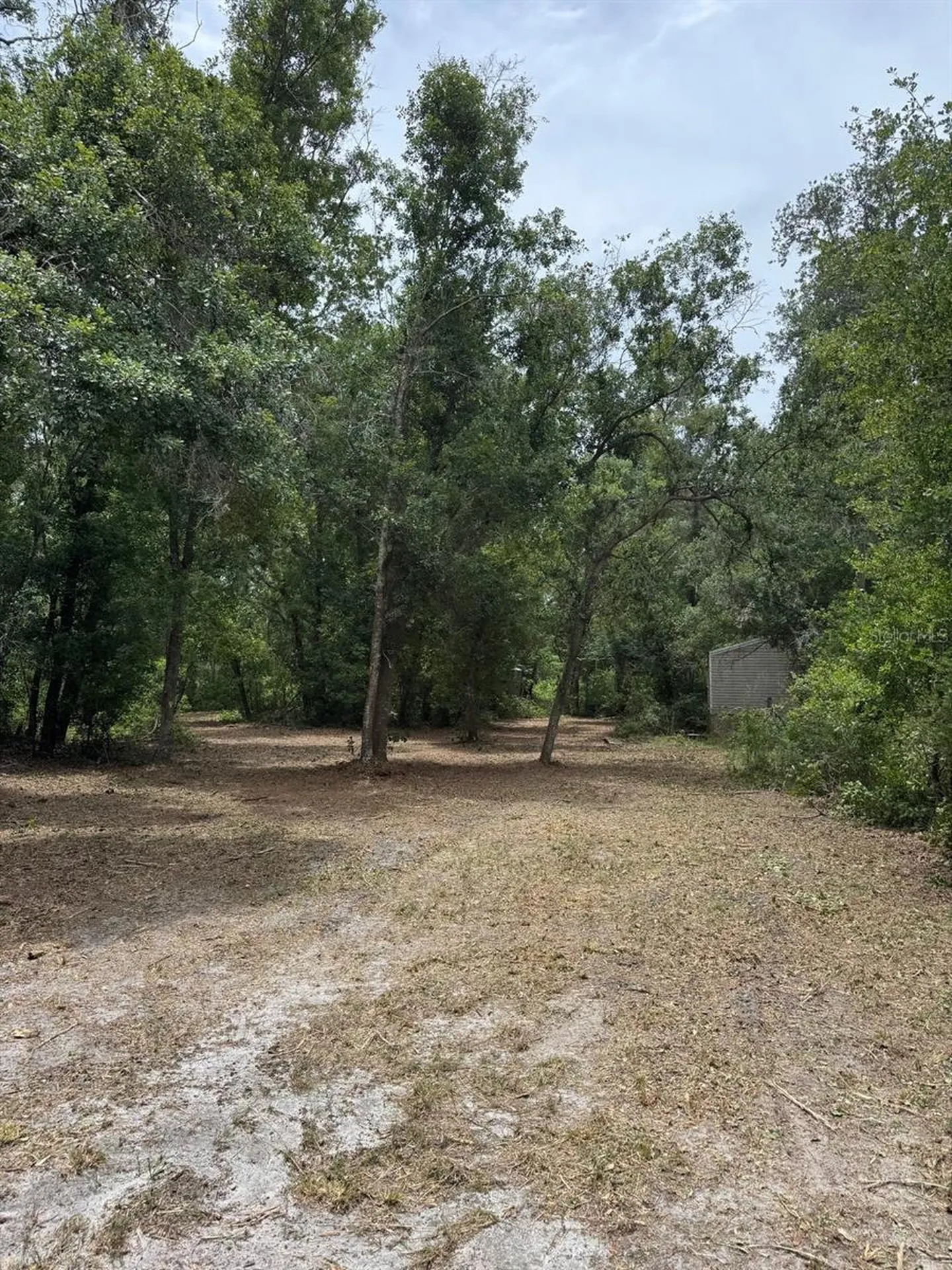 3101 Bruton Road Plant City FL 33565