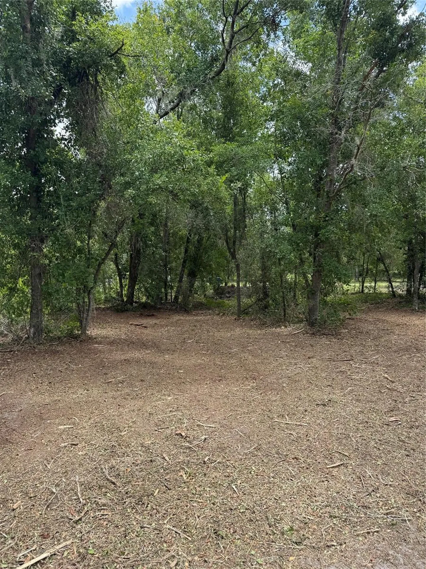 3101 Bruton Road Plant City FL 33565