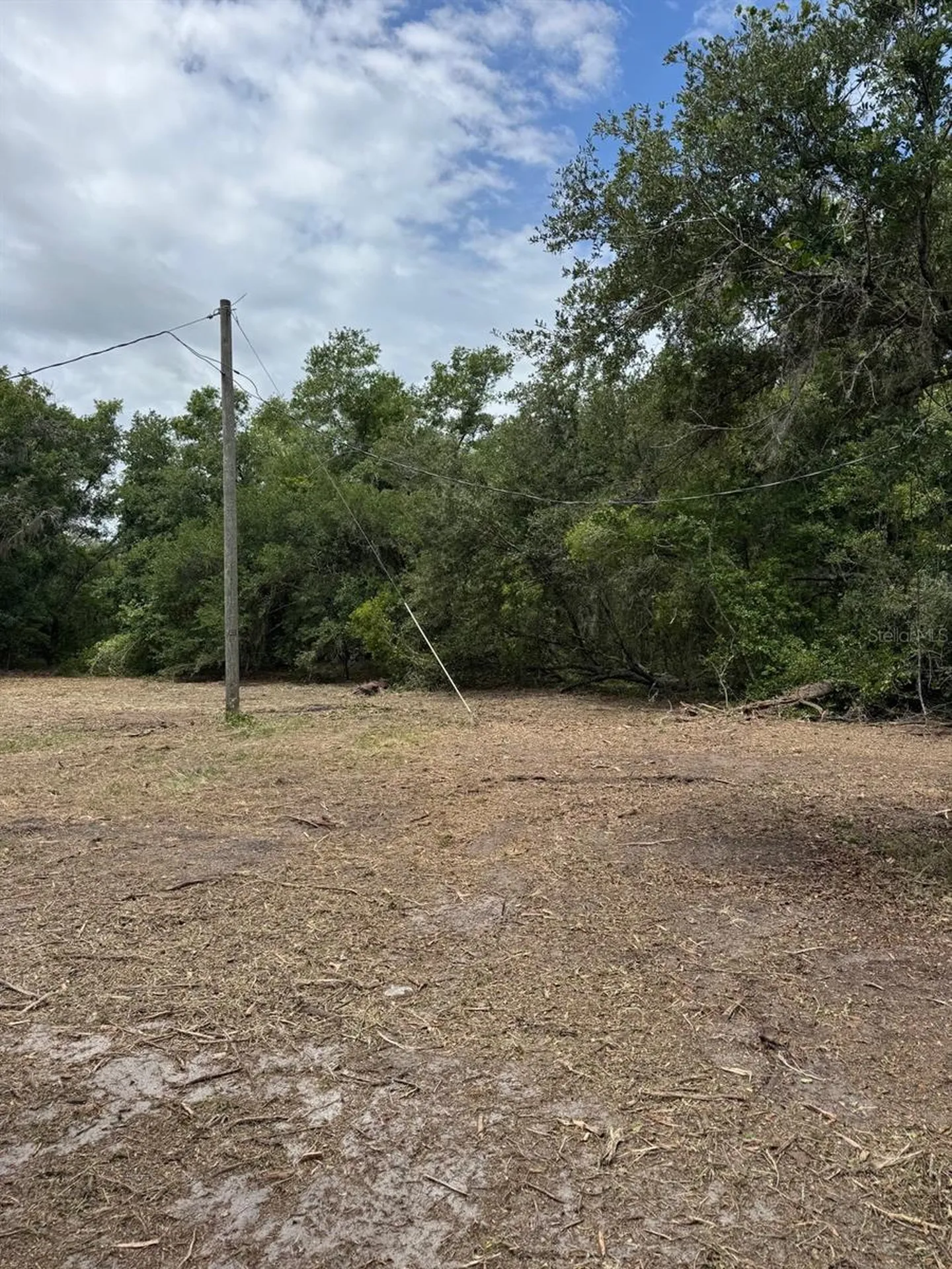 3101 Bruton Road Plant City FL 33565