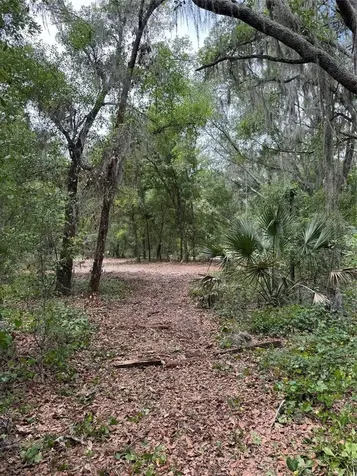 3101 Bruton Road Plant City FL 33565