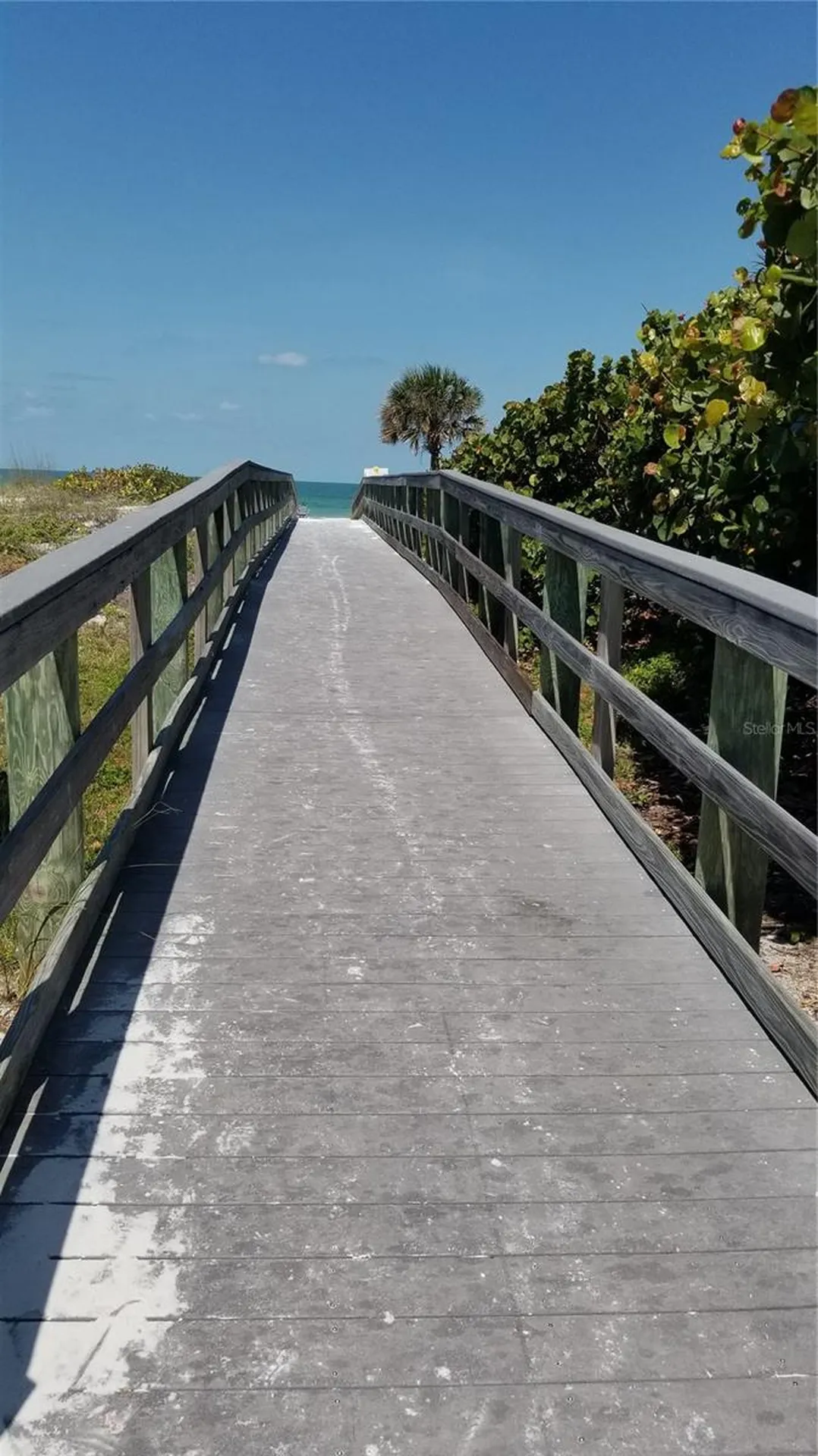 255 Capri Circle N Treasure Island FL 33706