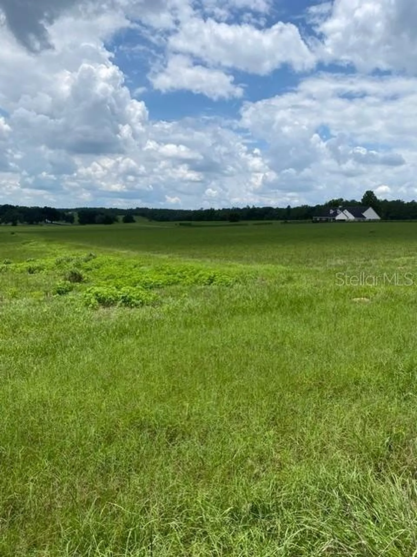5698 Quicksilver Floral City FL 34436
