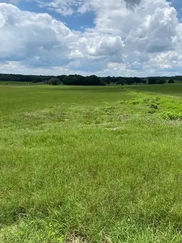5698 Quicksilver Floral City FL 34436