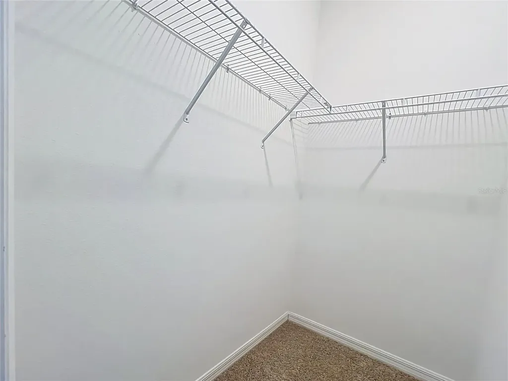 16007 Micelli Drive Winter Garden FL 34787