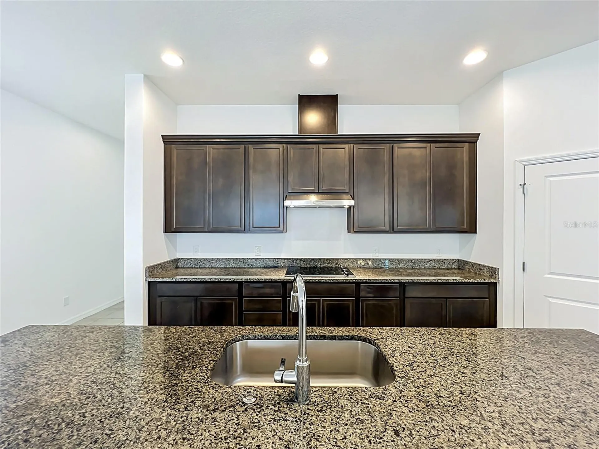 16007 Micelli Drive Winter Garden FL 34787