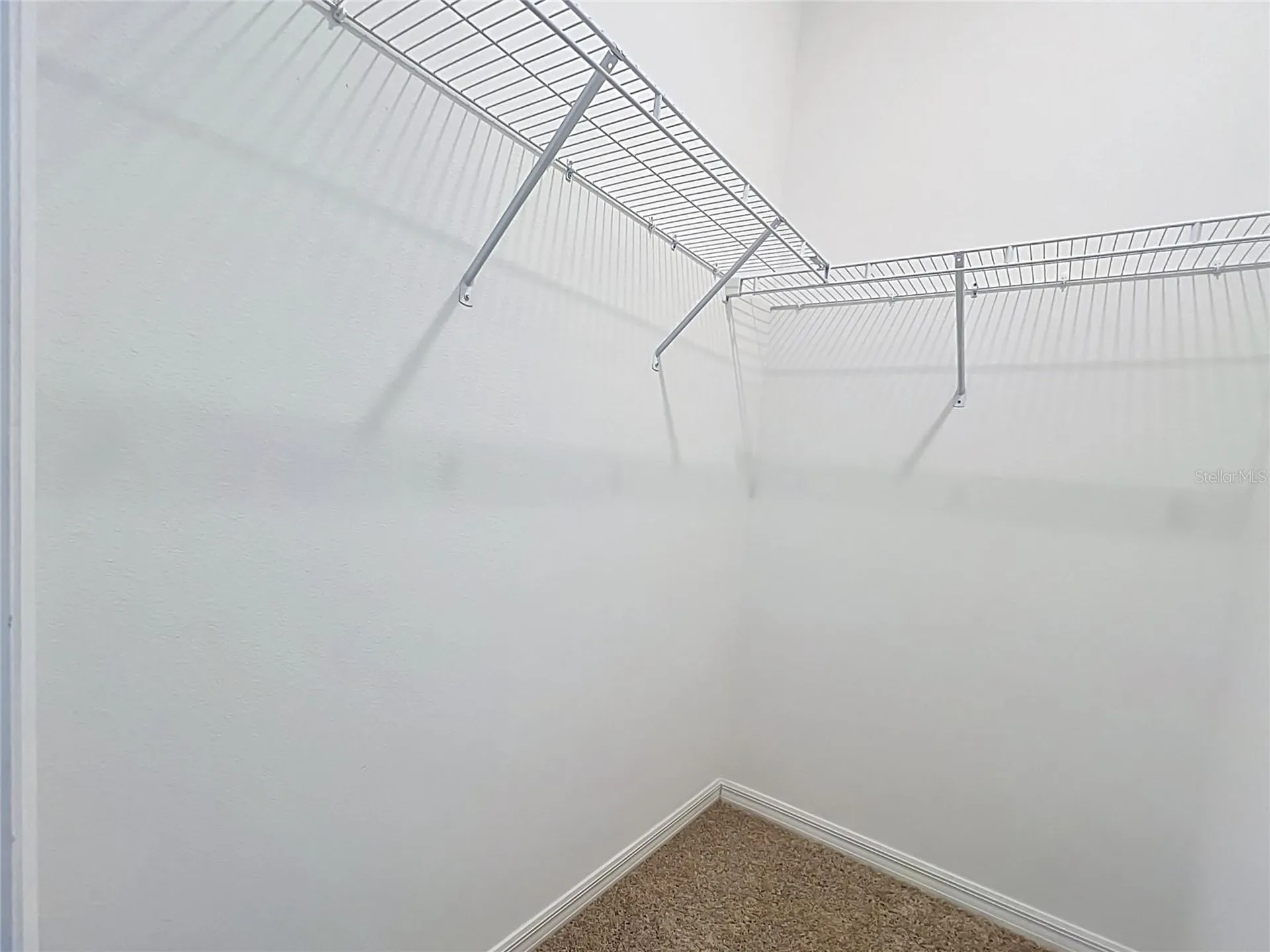 16007 Micelli Drive Winter Garden FL 34787