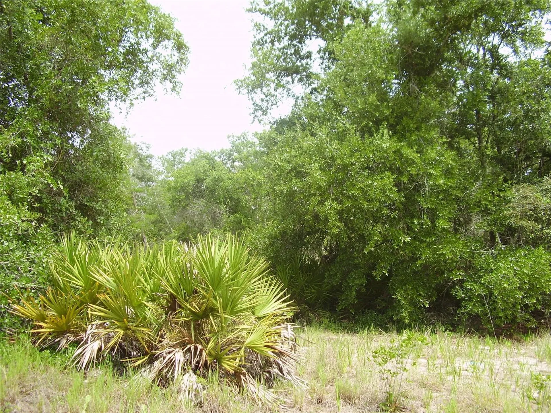 1457 Kissimmee Way Kissimmee FL 34759