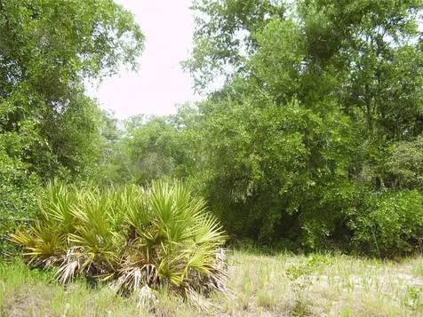 1457 Kissimmee Way Kissimmee FL 34759
