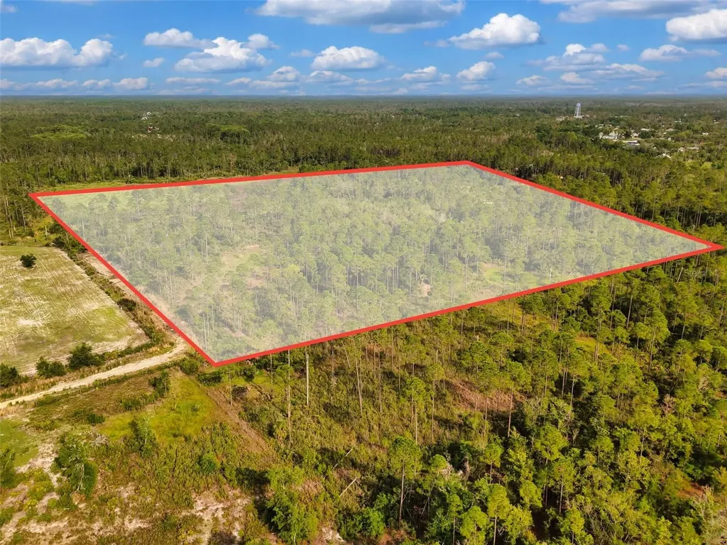 Lukayce Lane Steinhatchee FL 32359