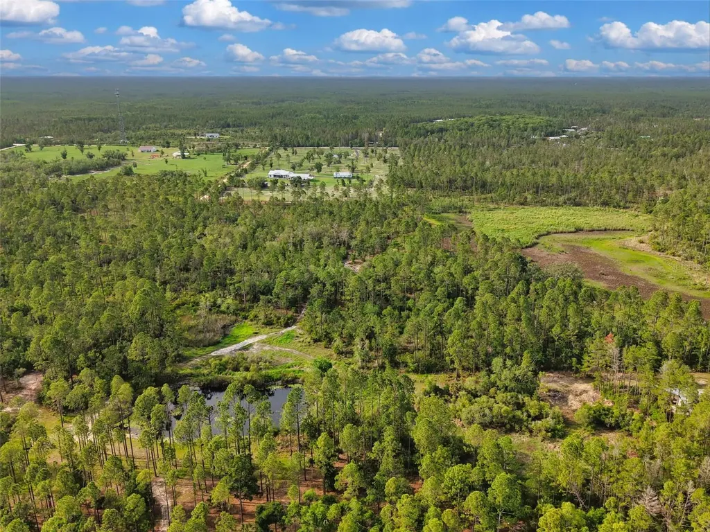Lukayce Lane Steinhatchee FL 32359