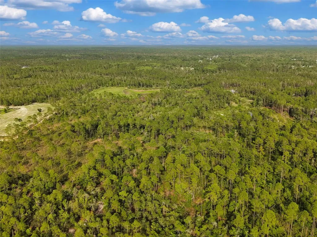 Lukayce Lane Steinhatchee FL 32359