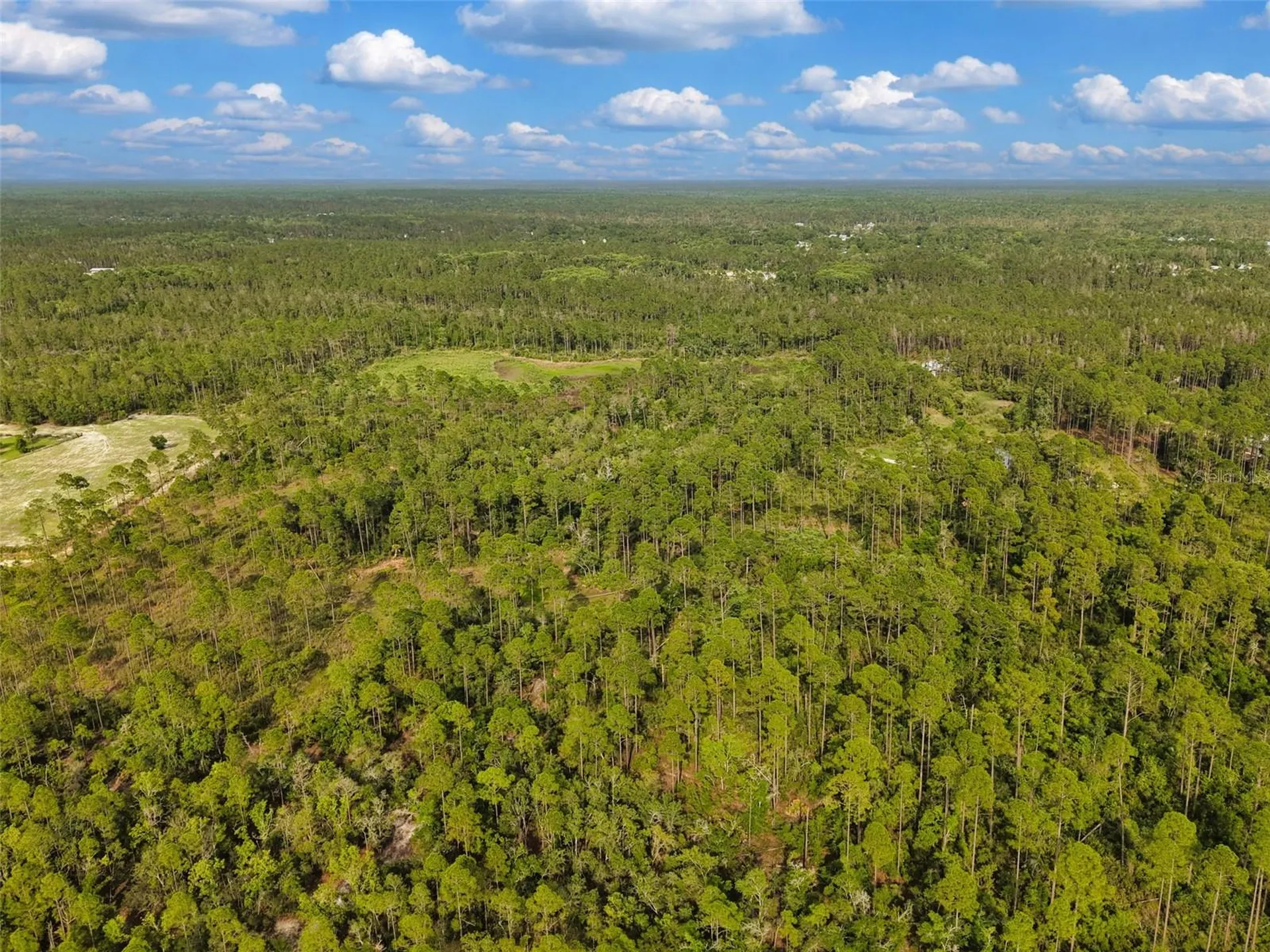 Lukayce Lane Steinhatchee FL 32359