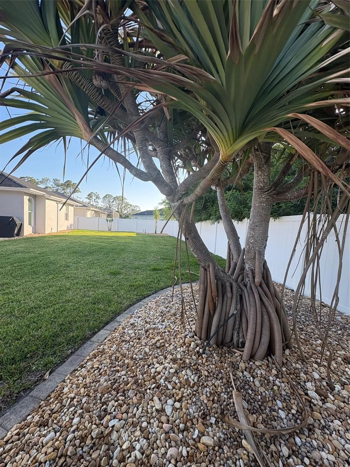 2927 Belleville Terrace North Port FL 34286