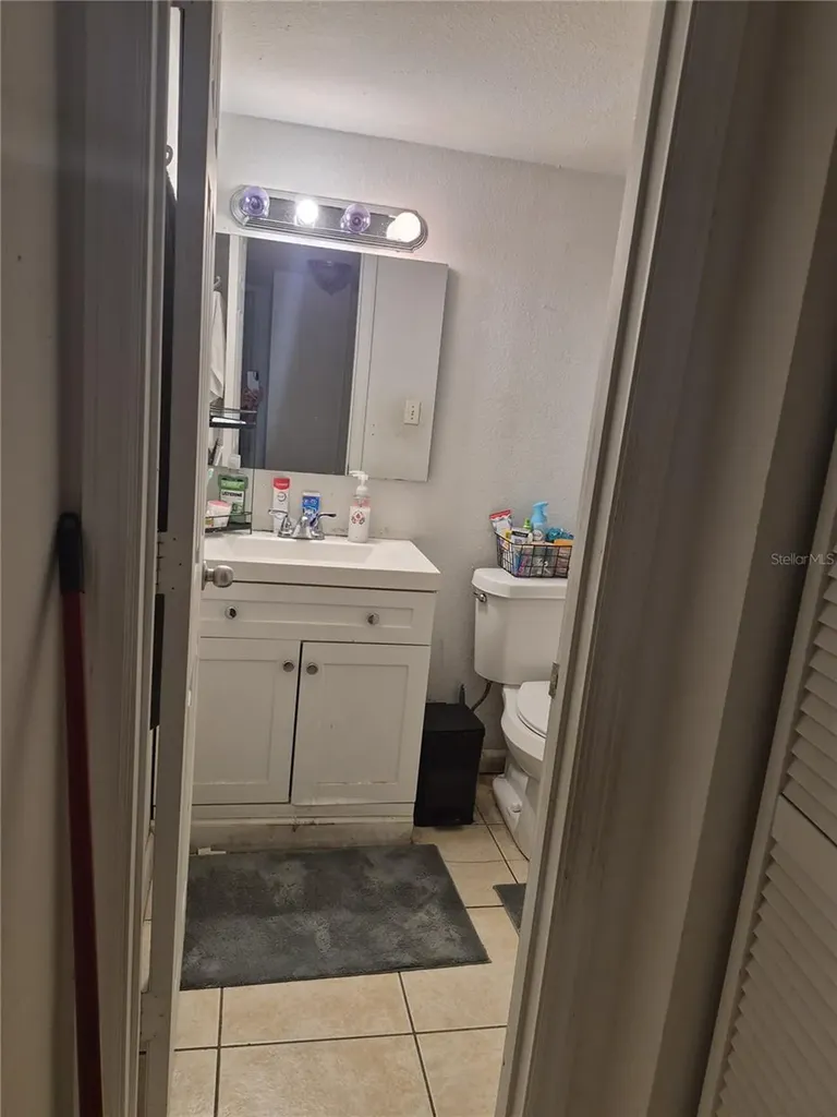 202 Poinsettia Pine Court Tampa FL 33612
